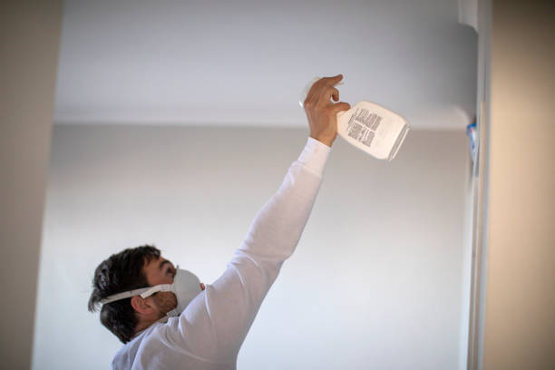 Water Damage Restoration in Durand, MI