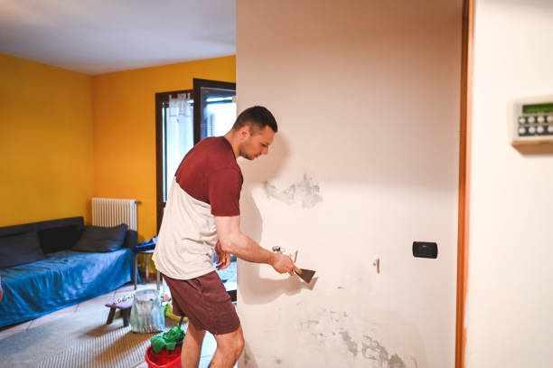 Best Residential Mold Removal  in Durand, MI